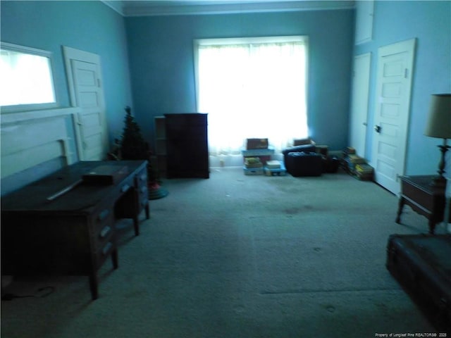 1042 Oquinn Rd, Maxton, NC 28364 - office with carpet floors and crown molding