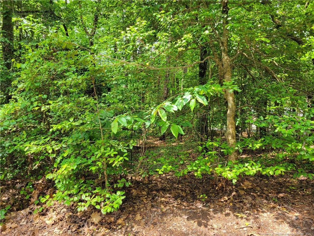 519 Perth Dr, Sanford, NC 27332 - photo 1