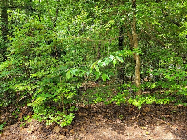 519 Perth Dr, Sanford, NC 27332