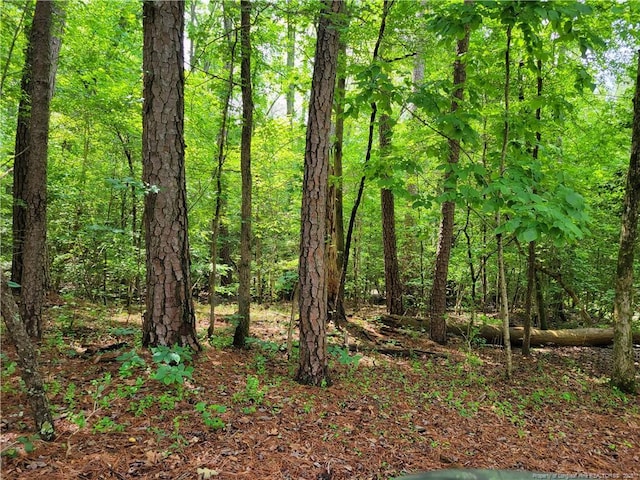 520 Kirk Ct, Sanford, NC 27332