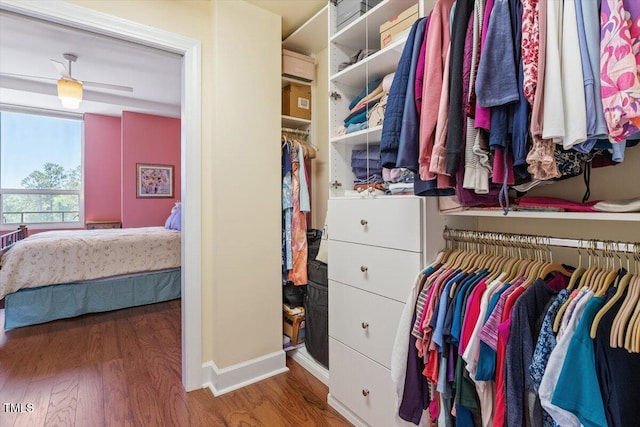 spacious closet with wood finished floors