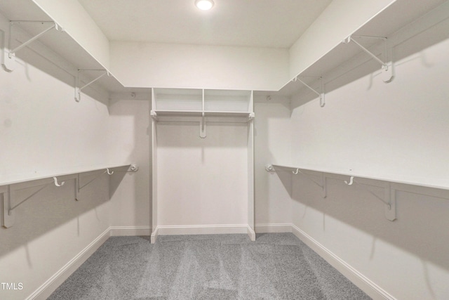 157 Gumtop Dr, Zebulon, NC 27597 - walk in closet featuring light carpet