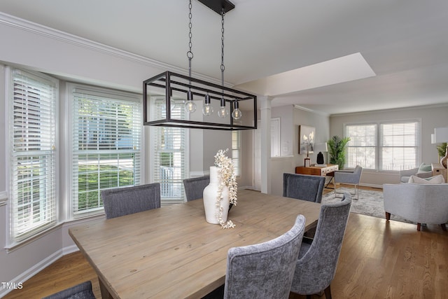 dining area featuring wood finished floors, ornamental molding, and baseboards