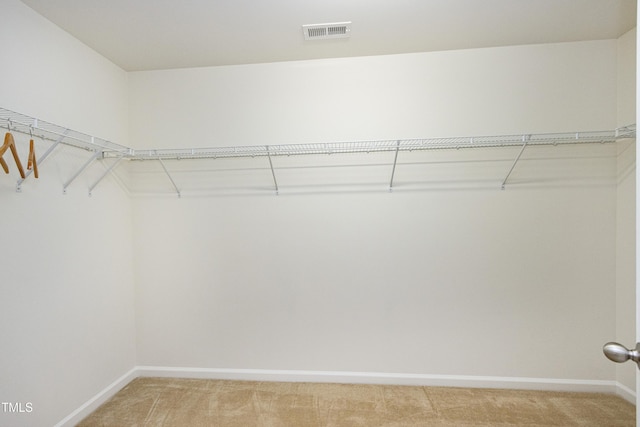 1141 Brookhill Way, Cary, NC 27519 - walk in closet with light carpet