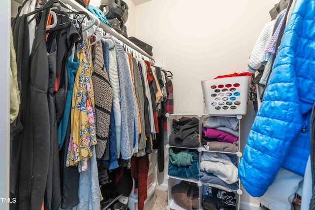view of spacious closet