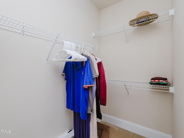 spacious closet featuring carpet