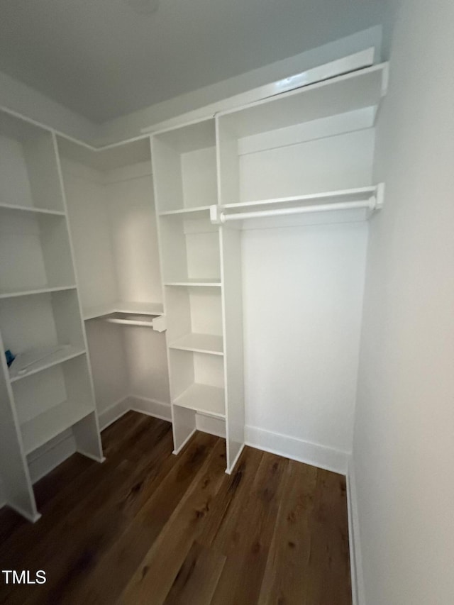 509 Olive Branch Rd, Durham, NC 27703 - walk in closet with dark wood-style flooring