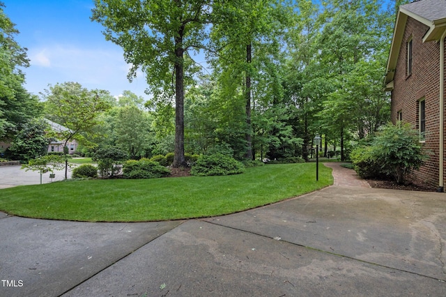 view of grassy yard