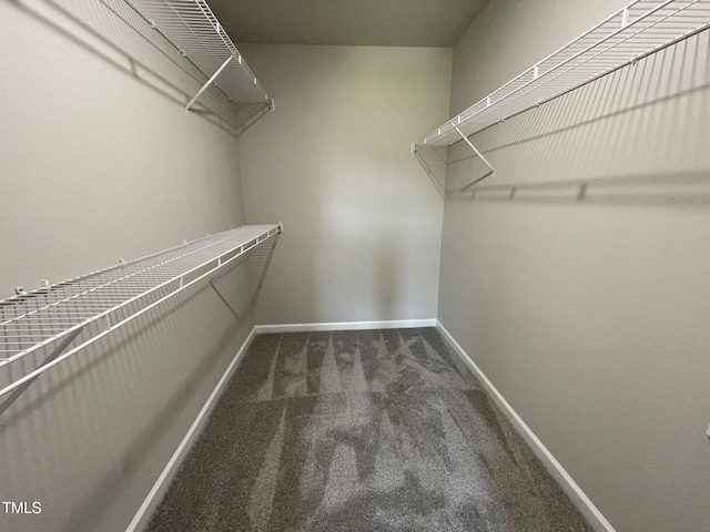 walk in closet featuring carpet flooring