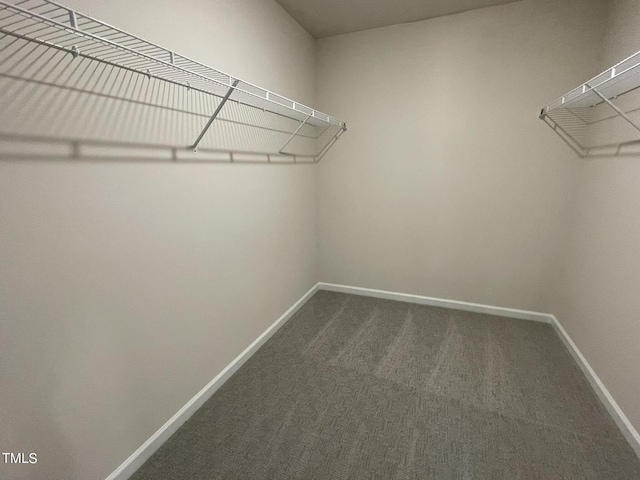 walk in closet with dark colored carpet