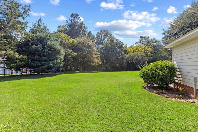 207 N Hopkins Ave, Spring Hope, NC 27882 - view of yard featuring view of wooded area