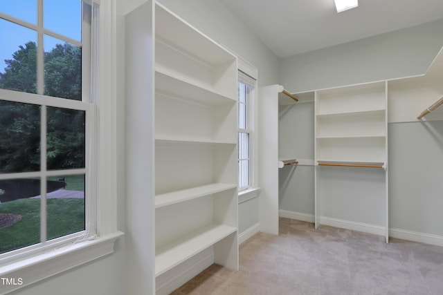 walk in closet featuring carpet flooring