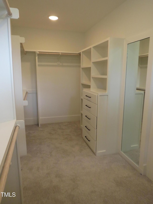 spacious closet with light carpet