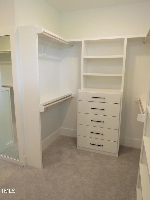 walk in closet featuring carpet floors