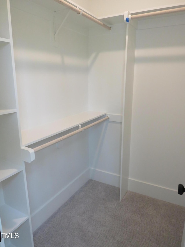 spacious closet with carpet