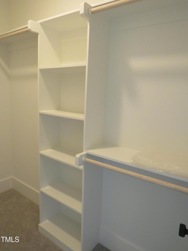 spacious closet with carpet