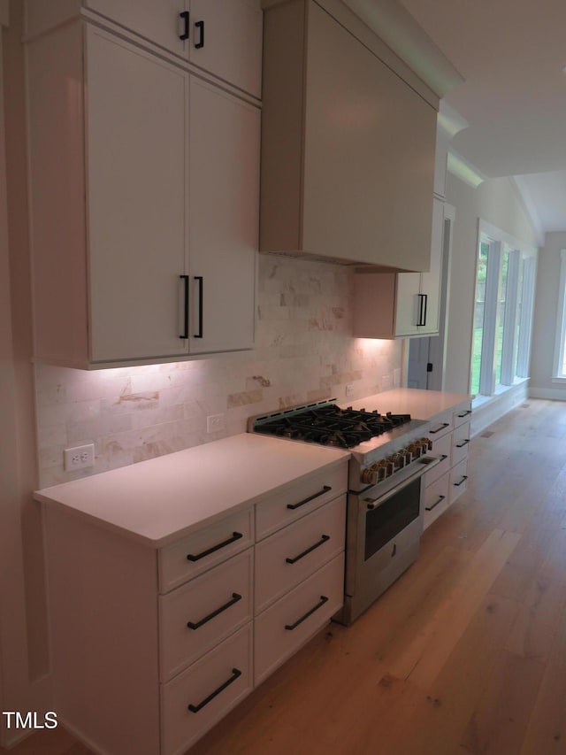 kitchen with high end stainless steel range, light wood-style flooring, and decorative backsplash