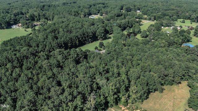 159 Holland Ln, New Hill, NC 27562 - photo 51
