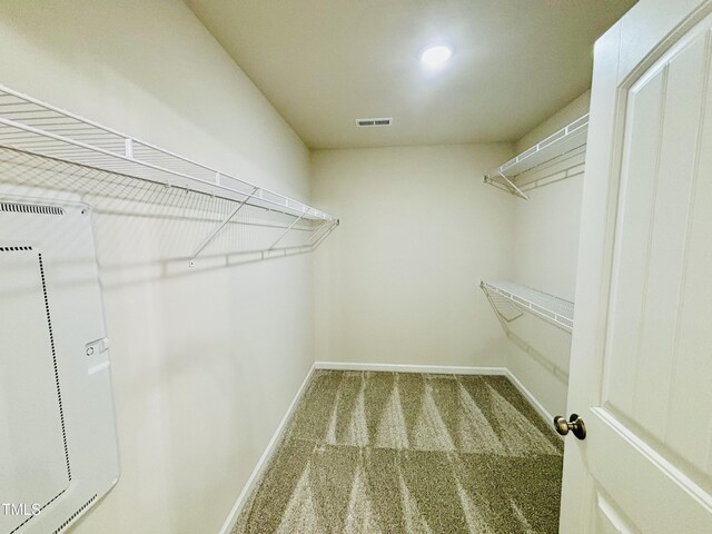 121 Earnest Way, Kenly, NC 27542 - spacious closet featuring carpet floors