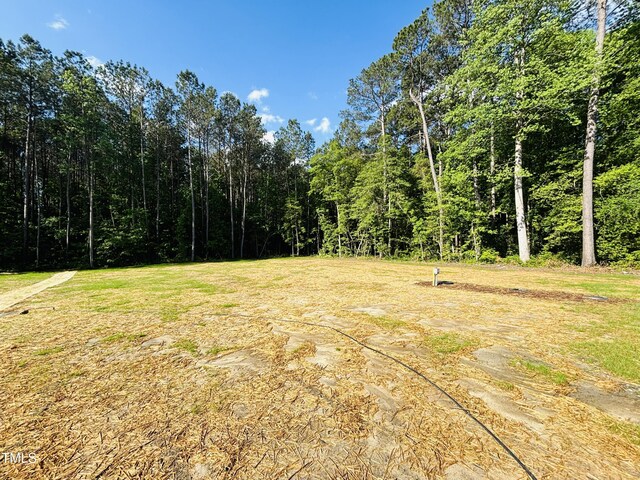 121 Earnest Way, Kenly, NC 27542 - view of local wilderness