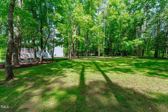 view of green lawn