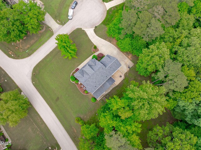 bird's eye view