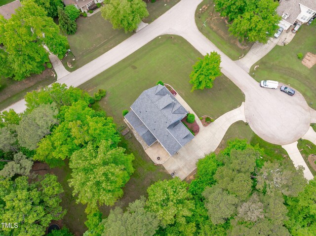bird's eye view