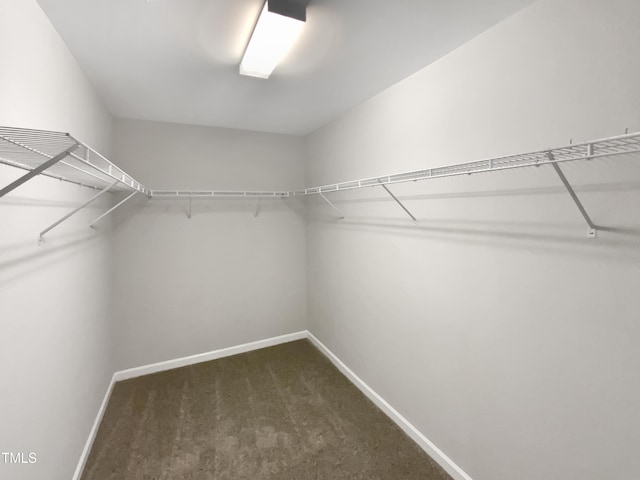 walk in closet featuring dark carpet