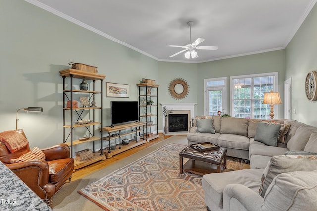 living area with wood finished floors, ceiling fan, crown molding, and a glass covered fireplace