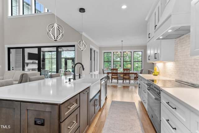 1229 Perry Bluff Dr, Wake Forest, NC 27587 - kitchen featuring stainless steel appliances, custom exhaust hood, healthy amount of natural light, a sink, and recessed lighting