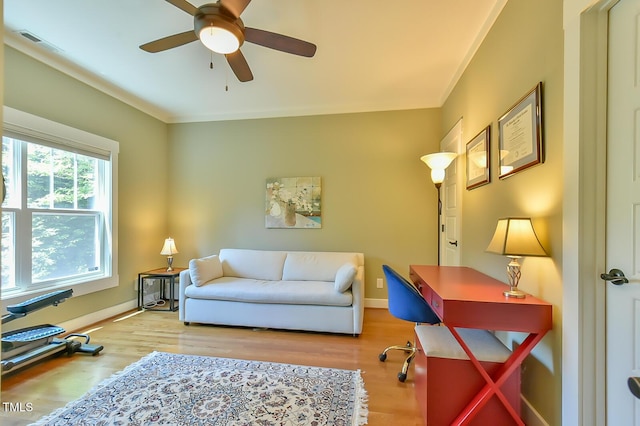 457 S Greensboro St, Carrboro, NC 27510 - photo 8