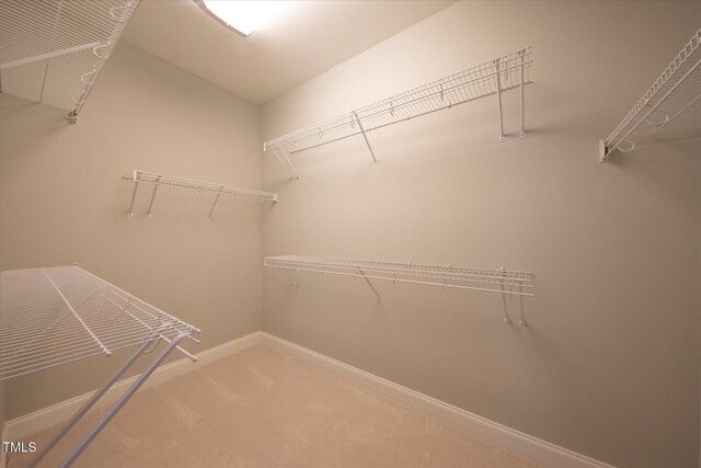walk in closet featuring carpet floors