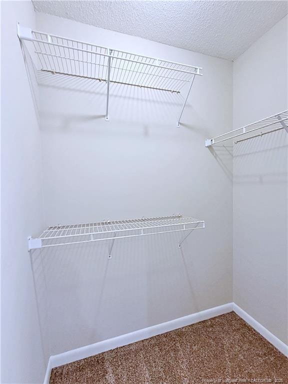 walk in closet with carpet flooring