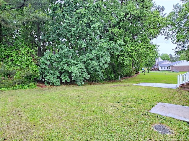 view of yard