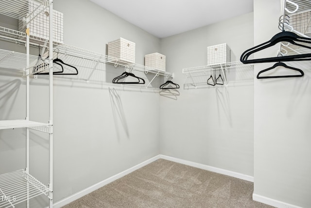 21 Diploma Dr, Clayton, NC 27520 - spacious closet featuring carpet floors