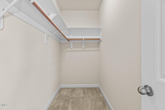 309 Coachmans Trl, Stem, NC 27581 - spacious closet with light colored carpet