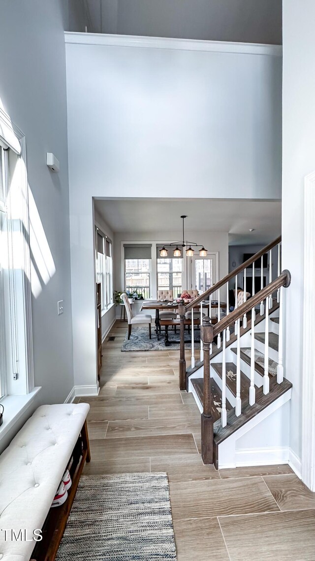 232 Hensley Hill Pl, Holly Springs, NC 27540 - photo 26