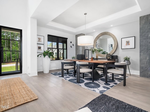604 Dappled Pine Ave, Durham, NC 27713 - dining room featuring a raised ceiling, wood finished floors, and baseboards