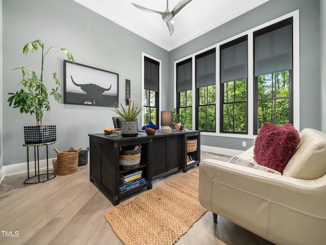 604 Dappled Pine Ave, Durham, NC 27713 - office area featuring light wood-type flooring, baseboards, and ceiling fan
