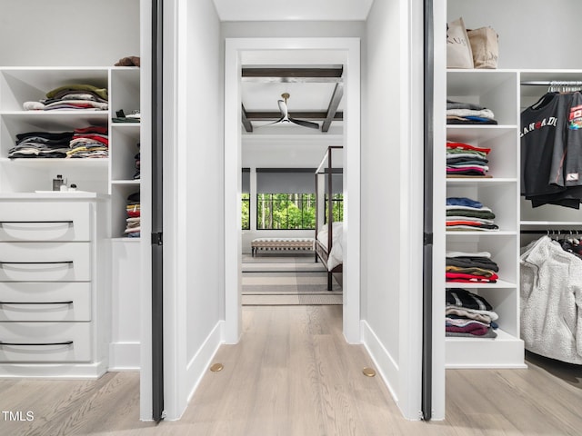 604 Dappled Pine Ave, Durham, NC 27713 - view of closet