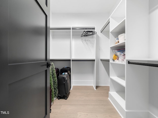 604 Dappled Pine Ave, Durham, NC 27713 - walk in closet featuring wood finished floors