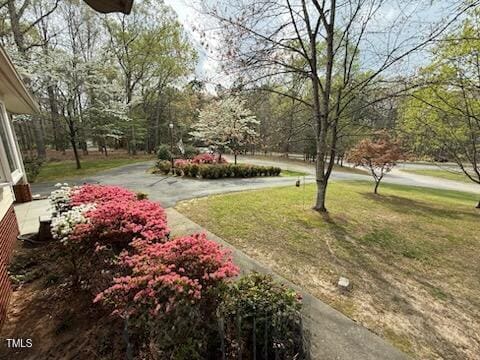 5517 Spring Rd, Raleigh, NC 27603 - view of grassy yard