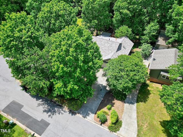 drone / aerial view