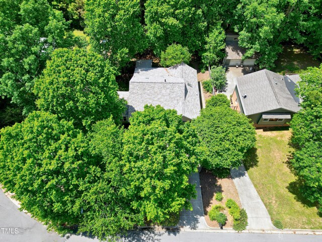 aerial view