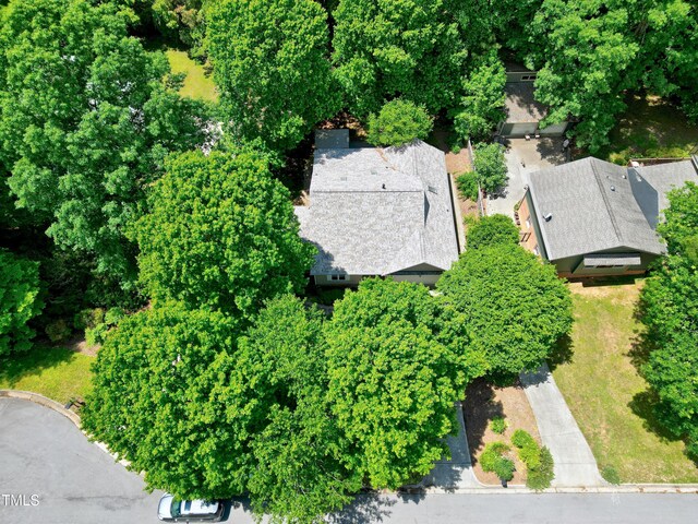 bird's eye view