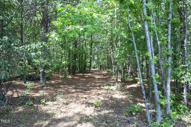 2200 Mays Crossroads Rd, Louisburg, NC 27549 - view of woods