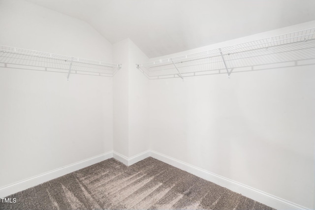 spacious closet featuring carpet floors and lofted ceiling