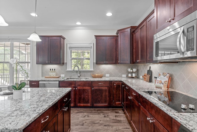kitchen featuring appliances with stainless steel finishes, a sink, wood finished floors, pendant lighting, and backsplash