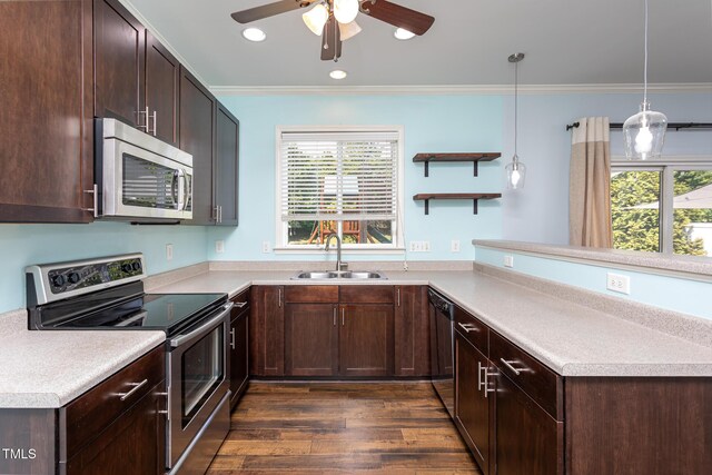kitchen featuring appliances with stainless steel finishes, a sink, ornamental molding, a peninsula, and dark brown cabinetry