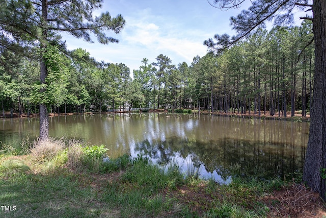 water view featuring a forest